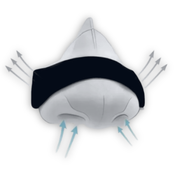 Nasal Breathing Dilators